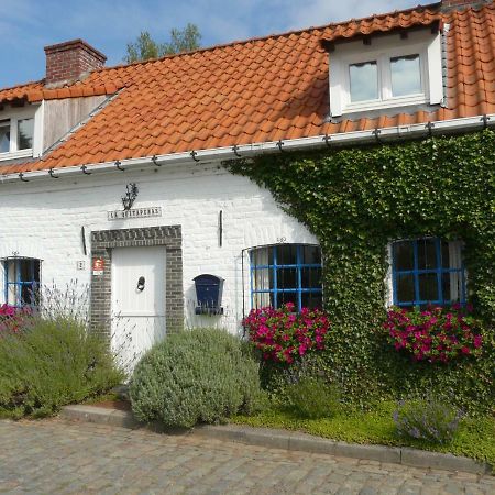 La Quitapenas Villa Ronse Exterior photo