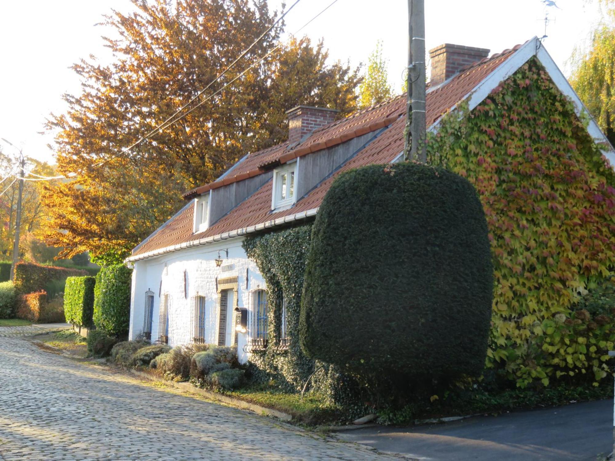 La Quitapenas Villa Ronse Exterior photo