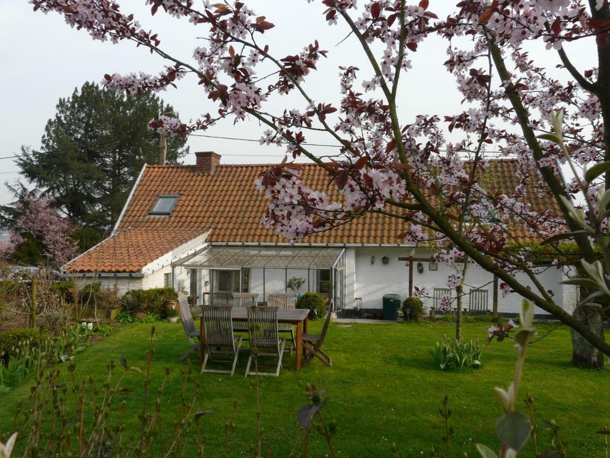 La Quitapenas Villa Ronse Exterior photo